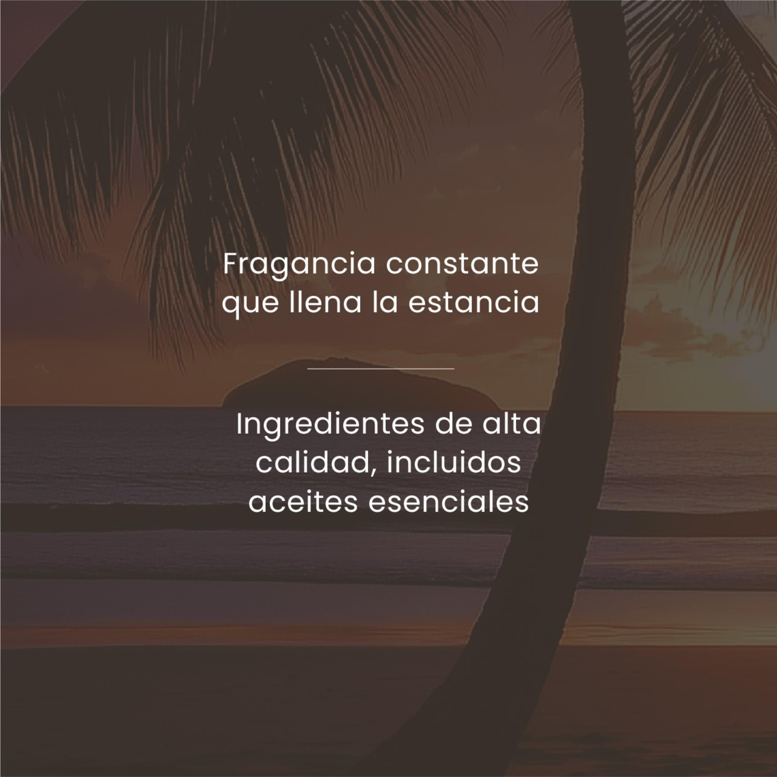 Yankee Candle Recambios de Fragancia para Ambientador Eléctrico ScentPlug| Aceite ambientador enchufable Black Coconut | hasta 60 días de Fragancia | 2 Unidades