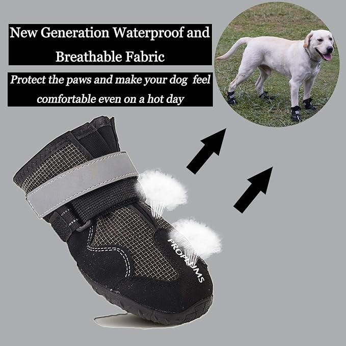 dog surgical boot