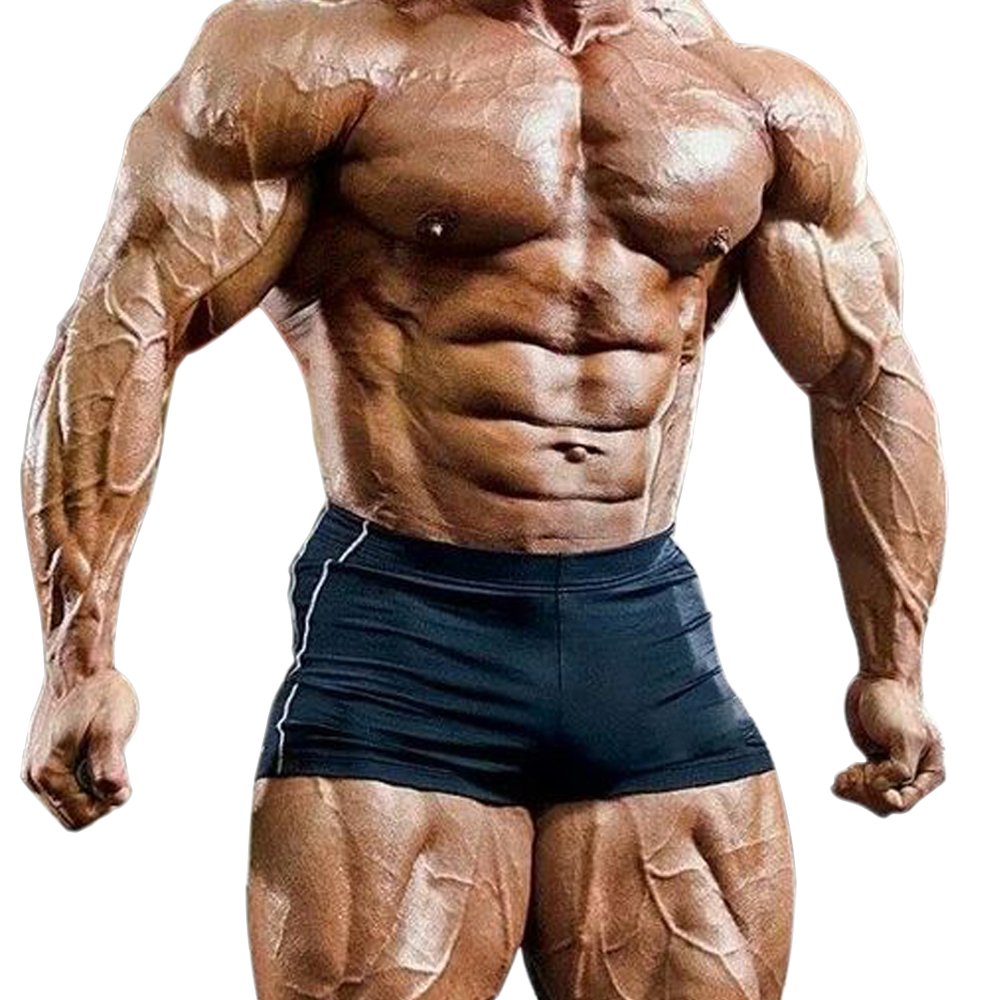 Muscle Alive Men's Pln Black Gym Tight Bodybuilding Workout Shorts Fitness Sports Polyester And Lycra Xl