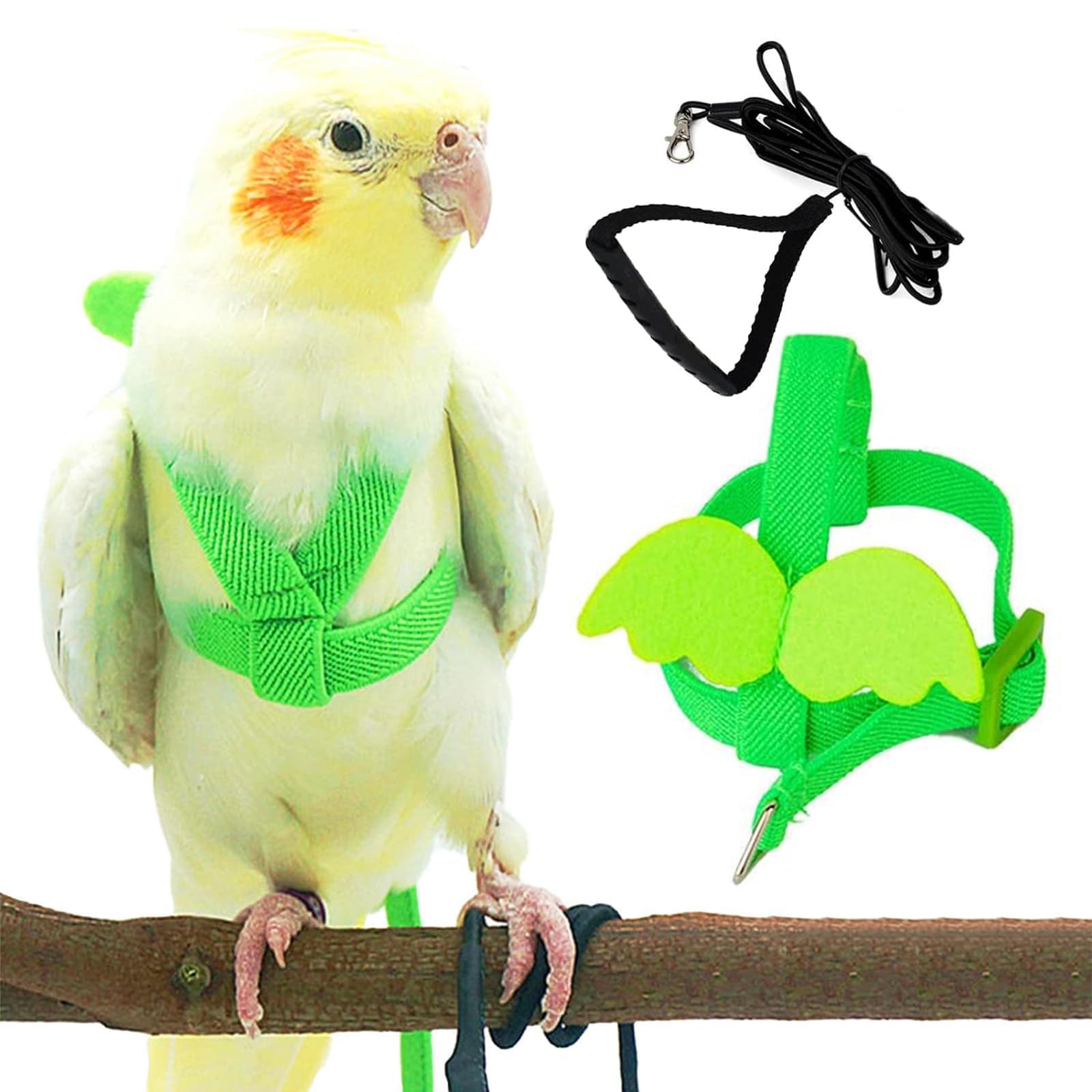 Green Bird Harness, Green Adjustable Bird Harness Leash, Buckle Lightweight Anti-Chew Walking Strap with Hand Grip, S Size 2M Training Lead for Mini Macaw Keck Alexandrine and Similar Medium Parrots-image-48
