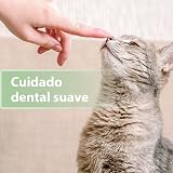 Ver la foto 4