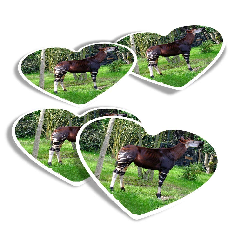 Vinyl Heart Stickers (Set of 4) - Okapi Forest Giraffe Zebra Fun Decals for Laptops,Tablets,Luggage,Scrap Booking,Fridges #3524
