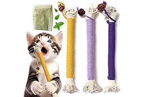 Kitten Teething Toys for Indoor Cats