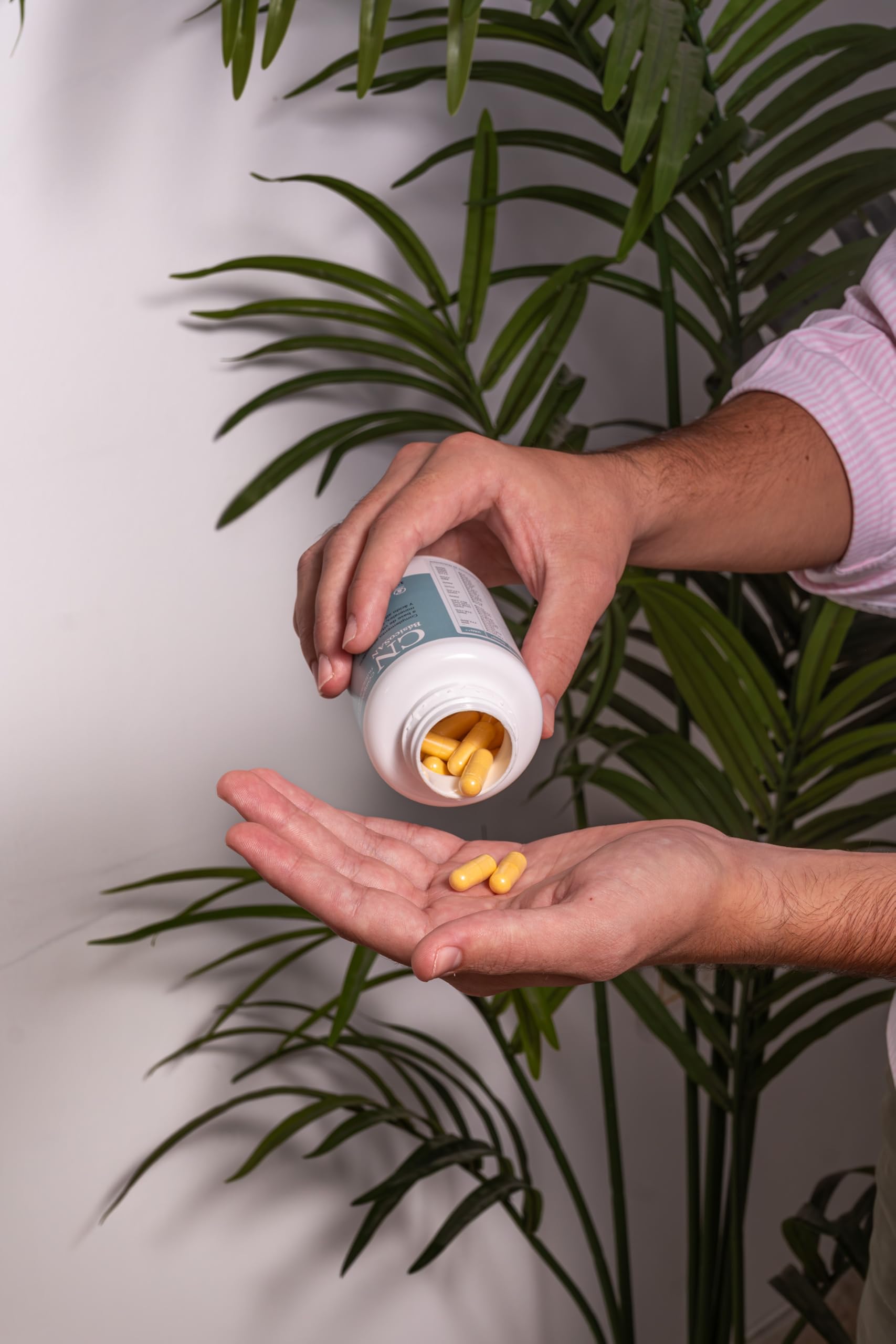 CN BÁSICO SAN complemento nutricional 120 cápsulas con vitaminas y minerales