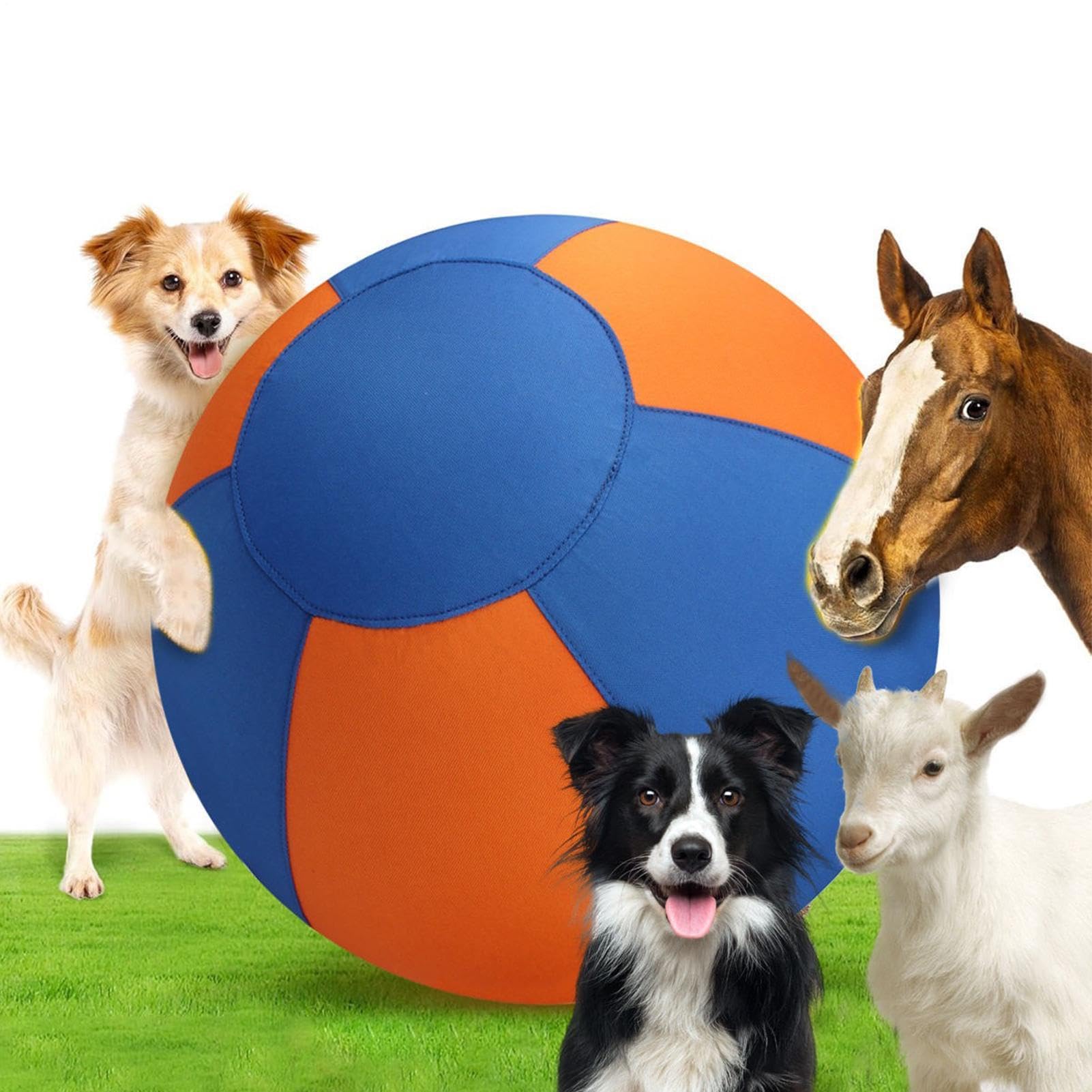 Balles De Troupeau Pour Chien Jouet Interactif d'Entraînement à l'Agilité