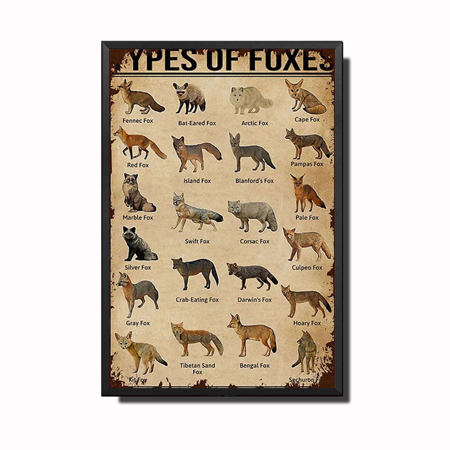 SUPERDANT Plaque En Métal Vintage En Métal Pour Patio, Terrasse, Jardin Avec Citations Et Vigne, Décoration Murale Rétro Pour Balcon, Terrasse, Jardin