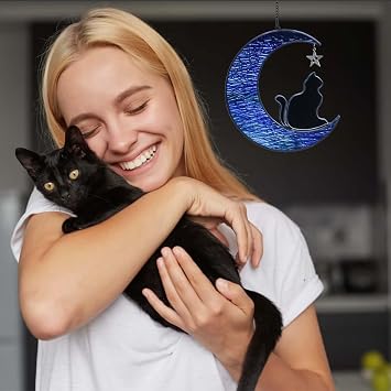 Stained Glass Window Hangings, Cat on Moon Suncatcher, Pet Memorial Gifts