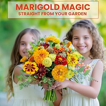 marigoldsさん専用２　1000 Amazon.com : NatureZ Edge Marigold Seeds Mix, Over 5600