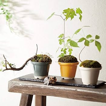 堤焼　植木鉢 tatsumigama-ueki_01.jpg