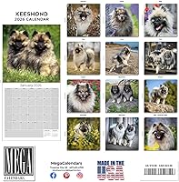 Vista 518 de Razas de Perros 2017