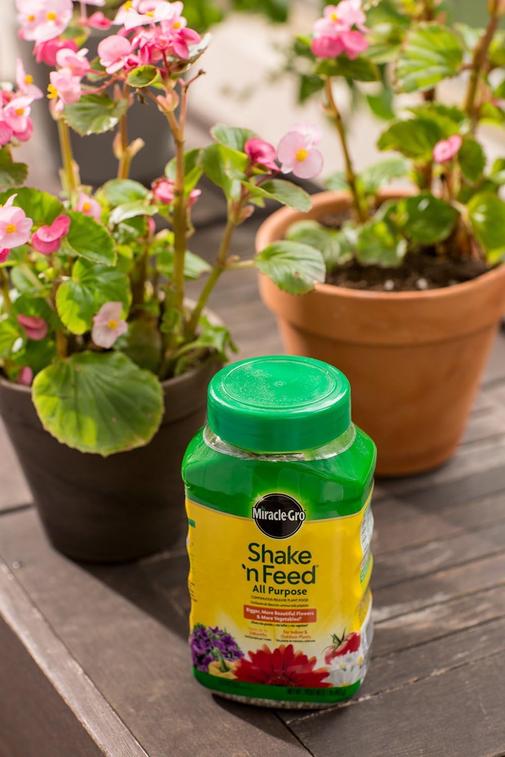 Miracle-Gro Shake 'n Feed All Purpose Continuous Release Plant Food, 1-Pound (Slow Release Plant Fertilizer)