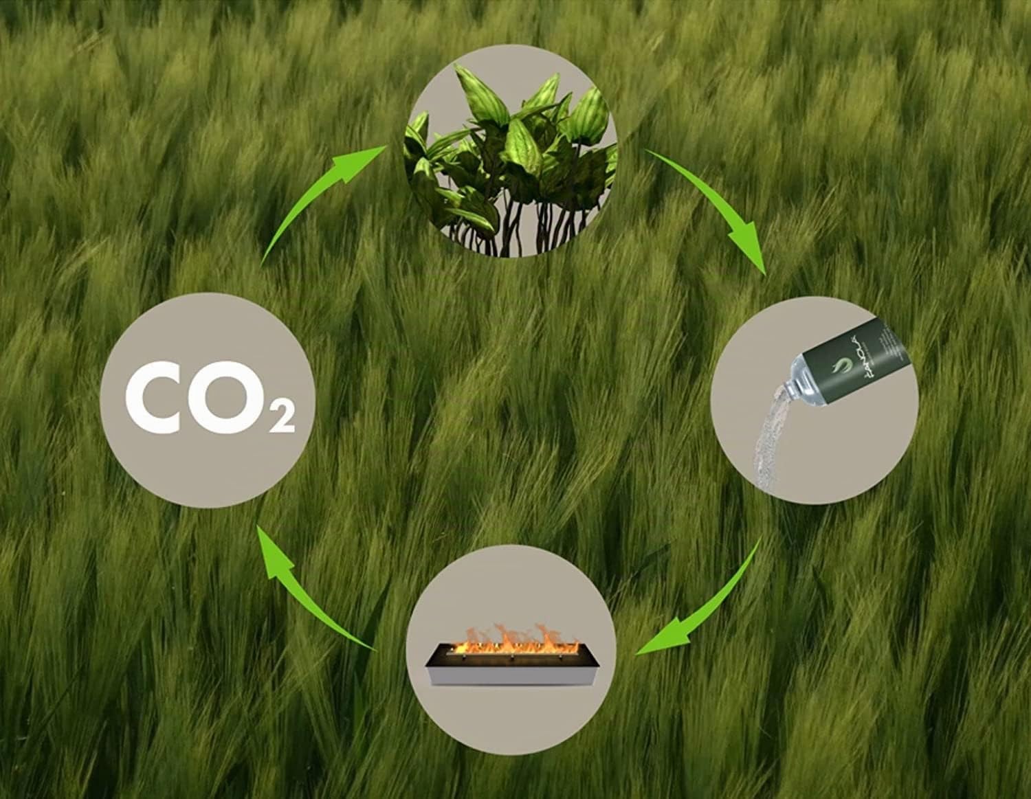 Planika Fanola Premium Flüssiger Brennstoff - Bioethanol für Kamine - Pflanzlichen Ursprungs - Saubere Verbrennung - Rauch-, ruß- und aschefrei - Umweltneutral - 4x5L