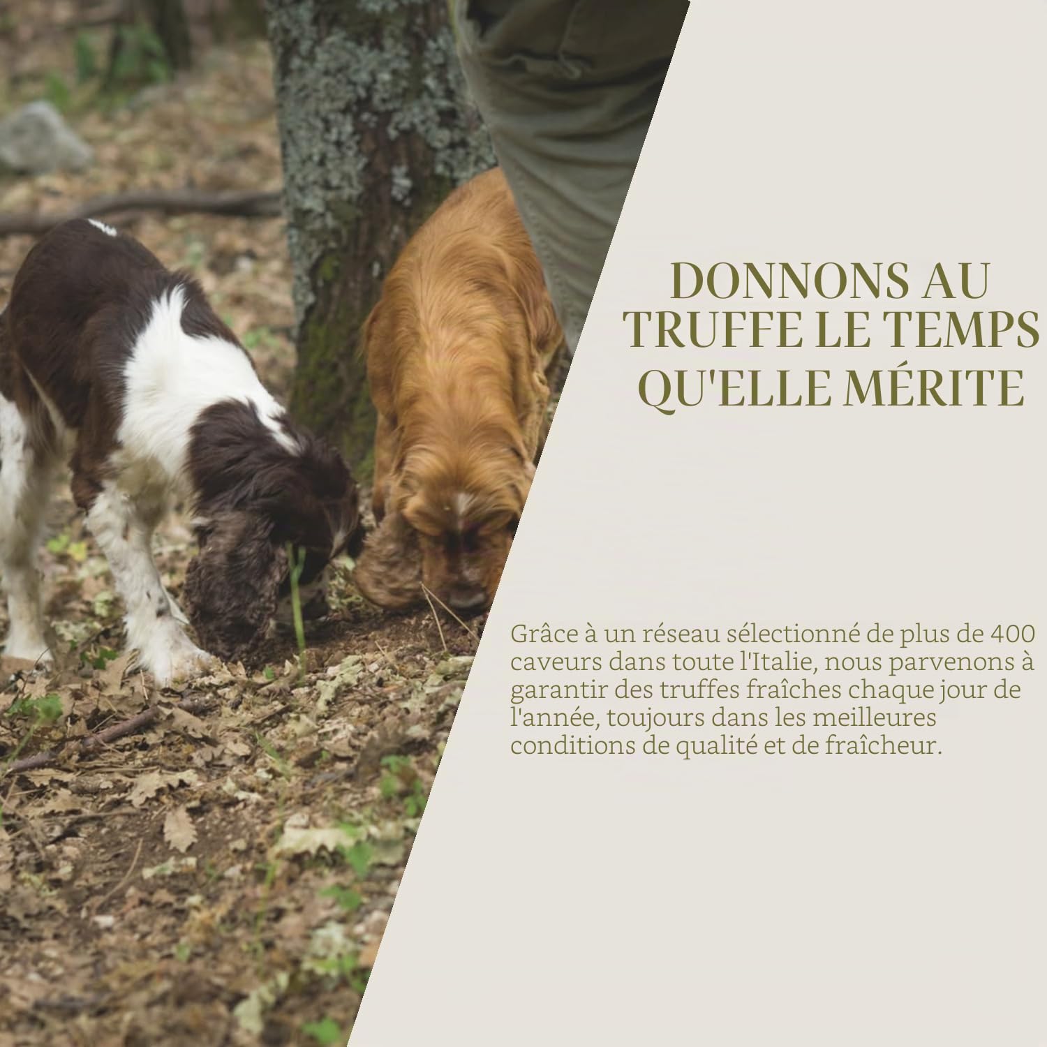 Coffret Gourmet – Poudre de Truffe 45g + Pétales de Truffe d’Été Séchée | Assaisonnements Premium pour Pâtes, Risottos, Viandes & Antipasti – Made in Italy