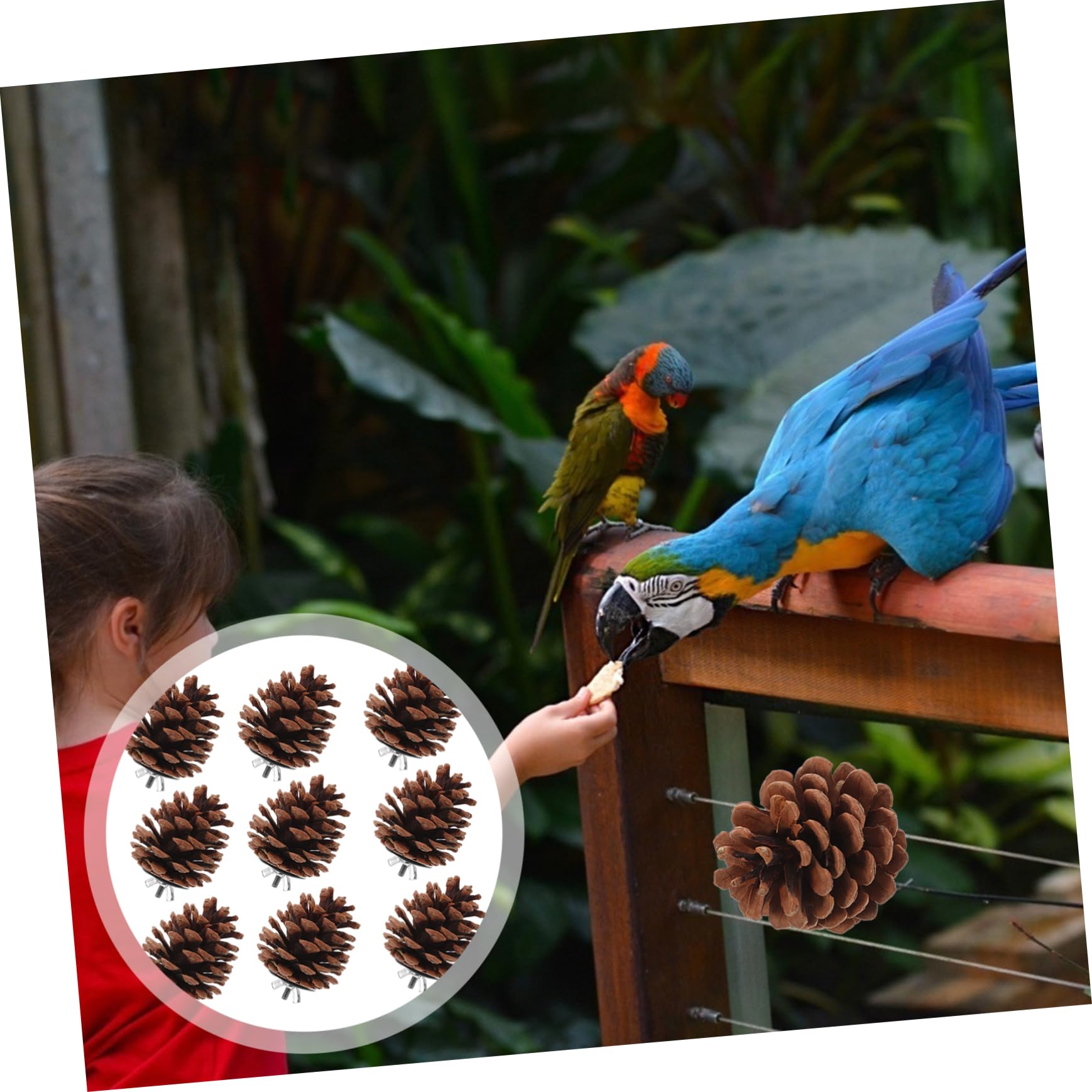 minkissy 50 piezas de juguete masticable para pájaros, juguetes de cacatúa, jaula de pájaros, juguete para mascotas, periquito, jaula de pájaros, suministros de loro, juguetes para pájaros, conos de