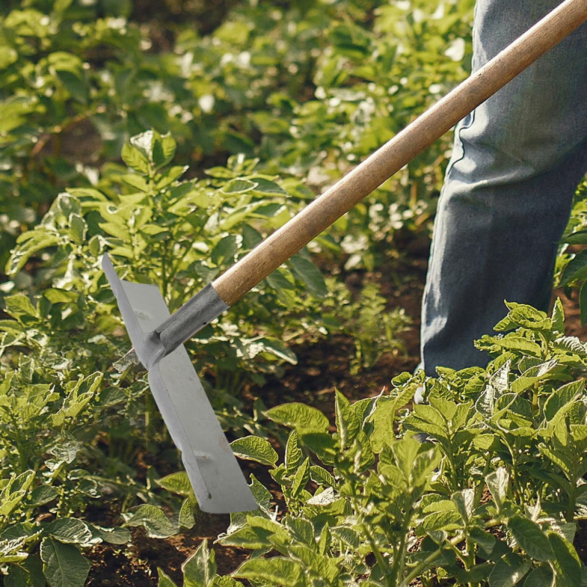 PLAFOPE Pala per Letame in Ferro 2 Pezzi per Pulizia Feci Pollame e Letame, Strumento Pratico Multiuso per Pulizia Interna e Stalla