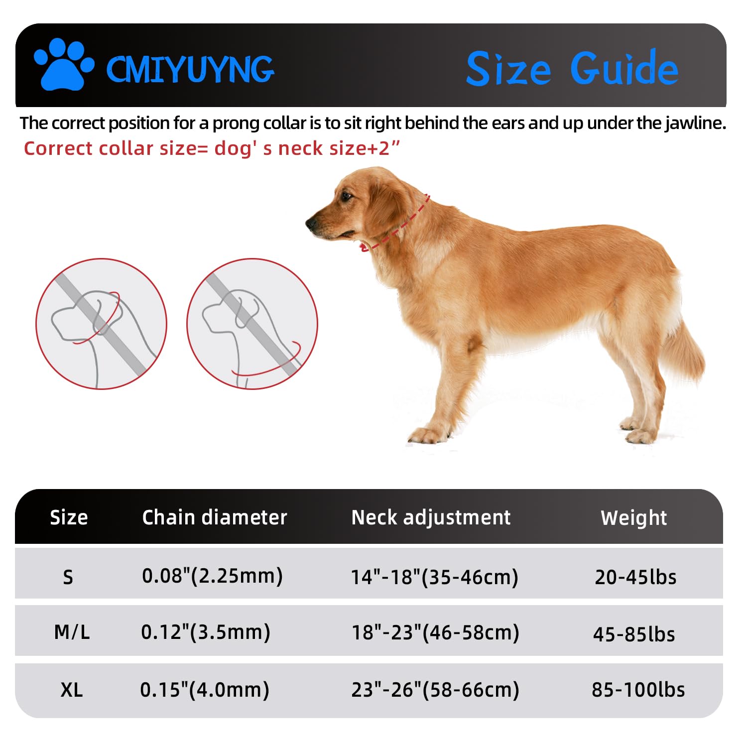 Collar para Perro, Collar Entrenamiento Ajustable con Gorra Cómoda para Collares de Perros Pequeños, Medianos y Grandes (M/L 43-53 cm, 3.5 mm), Plateado