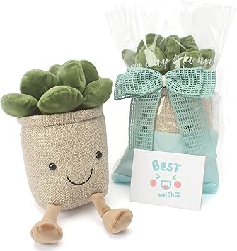 Amazon Co Jp Amazon限定ブランド Lozizi 多肉植物ぬいぐるみ 部屋飾り 女の子ギフト 贈り物 女性 友達 子供 入園祝い 誕生日プレゼント メッセージカード付き おもちゃ