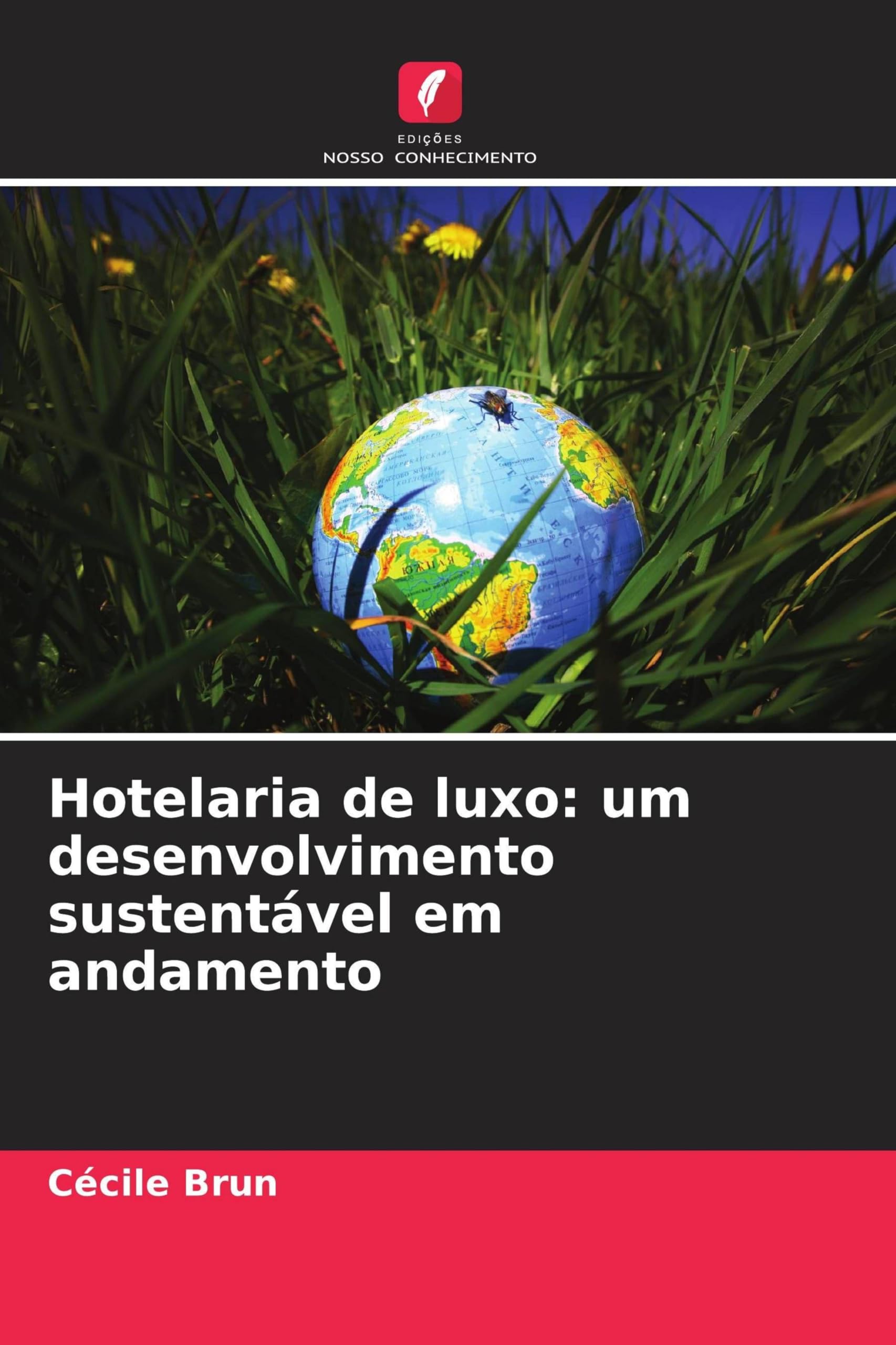 Hotelaria de luxo: um desenvolvimento sustentável em andamento