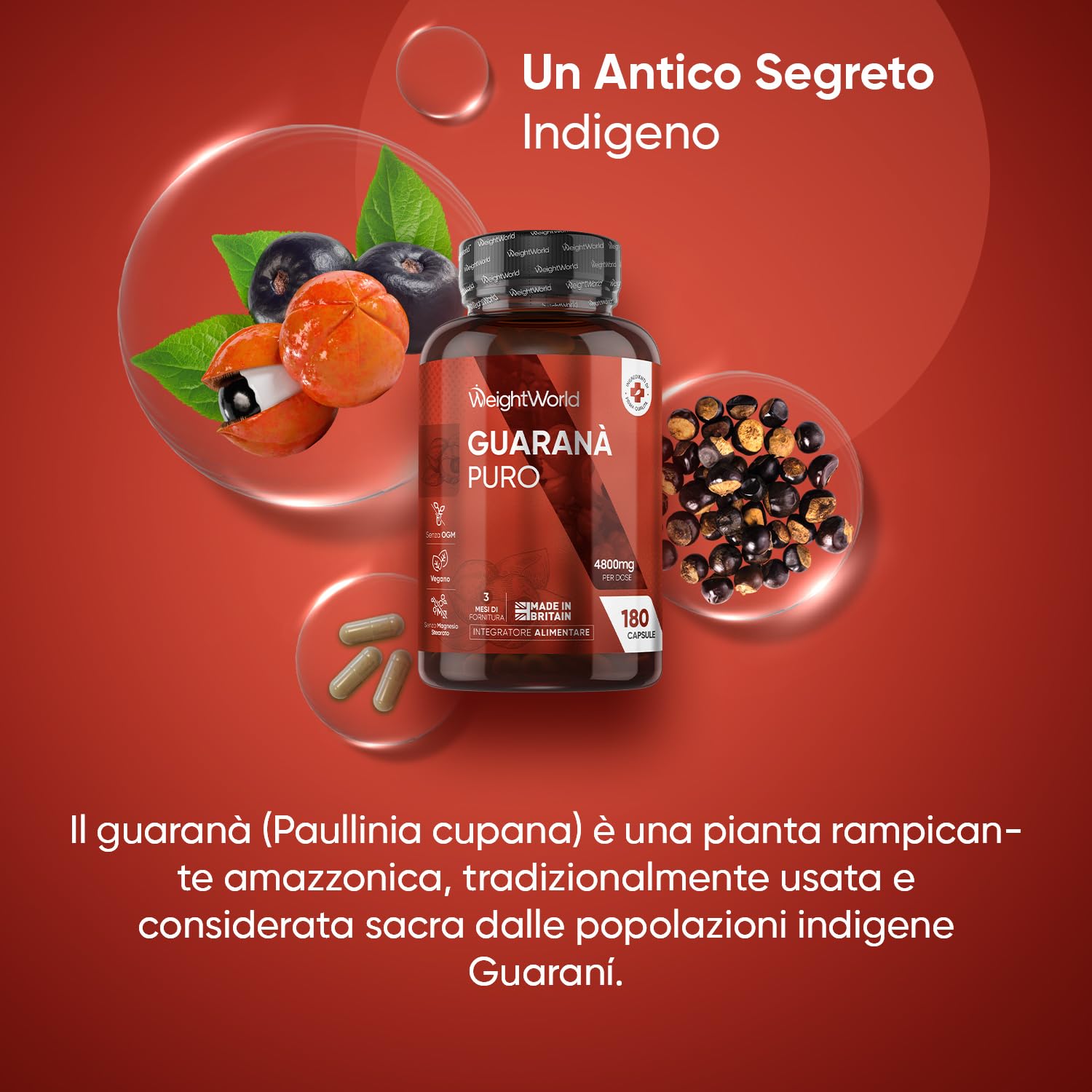 Guarana Puro Vegano, 180 Capsule, per 3 Mesi, Estratto 10:1 di Guarana Polvere, 4800mg per Dose, da Semi di Paullinia Cupana, Superfood Pre Workout, Senza Magnesio Stearato, Prodotto nel Regno Unito