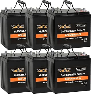GC2 6V Golf Cart Battery, 240ah Deep Cycle AGM Battery for Golf Cart, Scissor Lift, Scrubber Sweeper, Set of 6