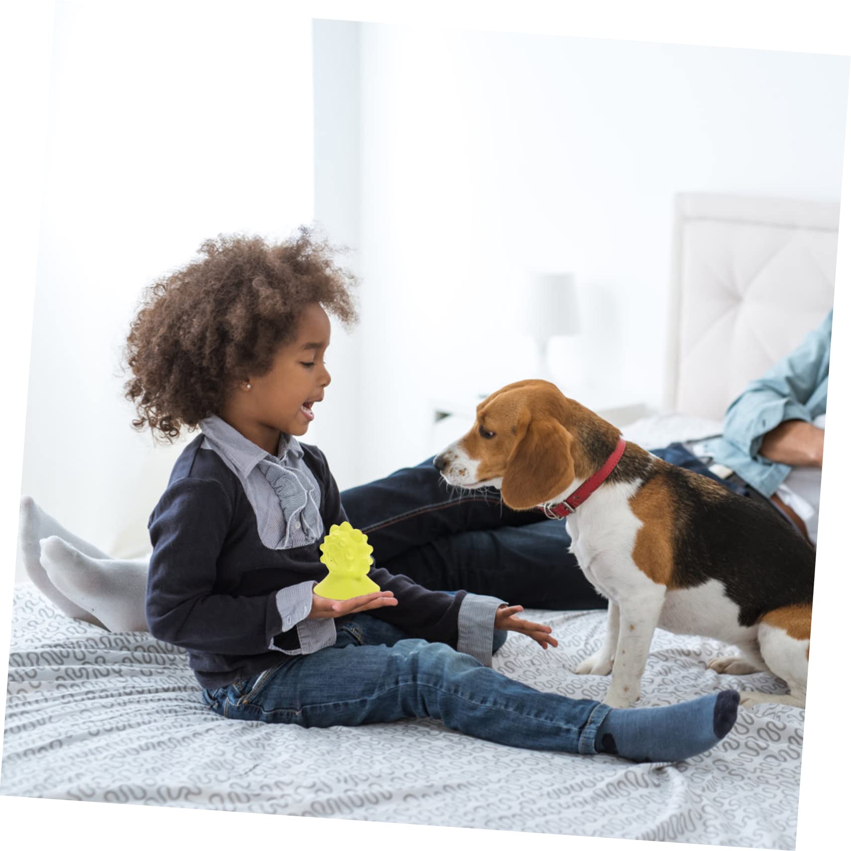 Kisangel 3 Juguetes Educativos para La Dentición De Perros Soporte para Molares Juguete para Cachorros Que Muerden Comedero Resistente En Divertidos