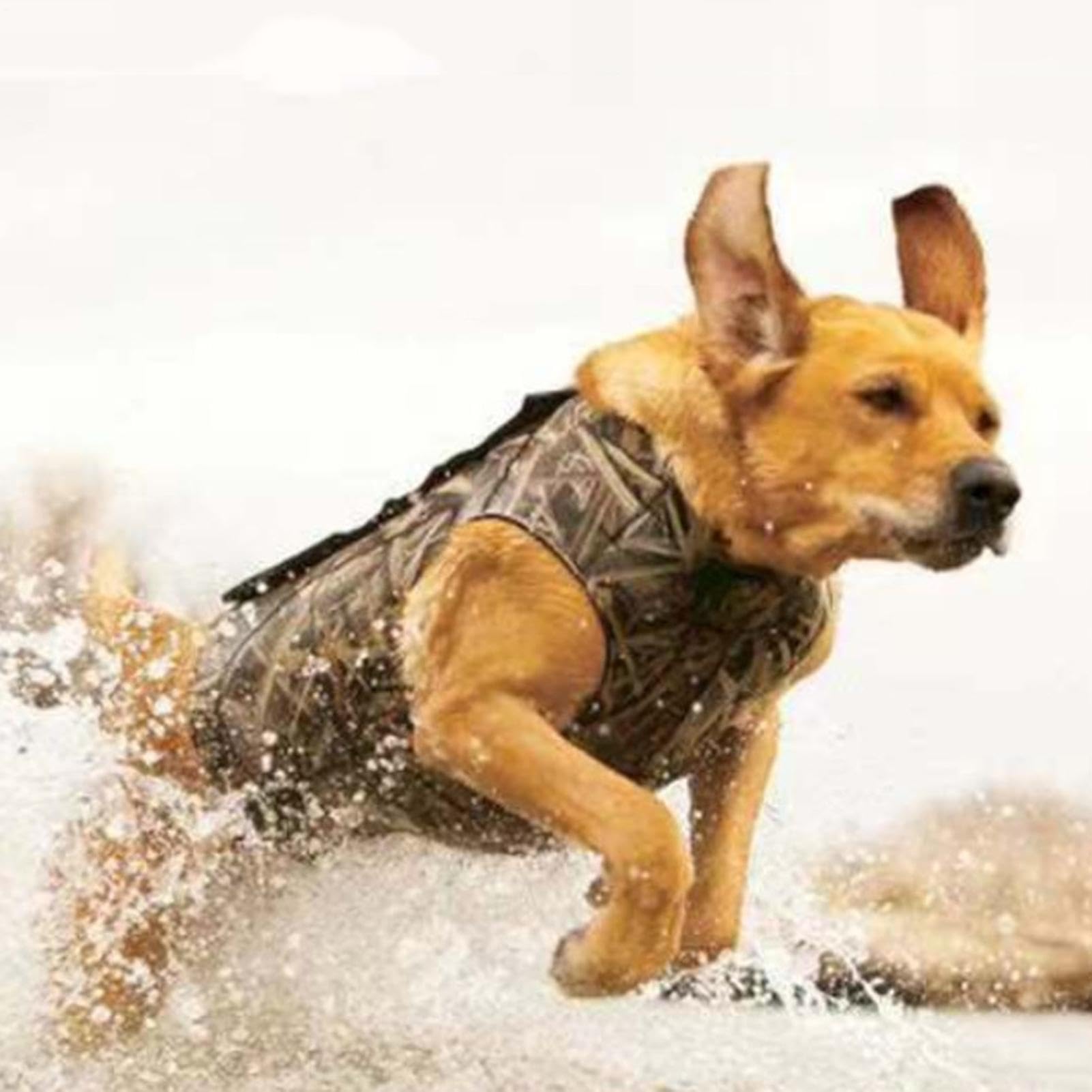 Gilet da caccia per cani, gilet mimetico per cani - Comodo abbigliamento per cani Gilet per cani - Gilet da addestramento per cani, gilet sportivi per cani, gilet di sicurezza mimetico per cani per ad