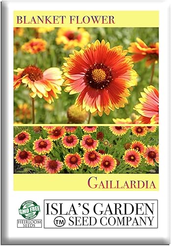 Blanketflower Gaillardia Seeds (Gaillardia aristata) - Más de 500 semillas de reliquia sin OMG de Isla's Garden Seeds, flores silvestres perennes