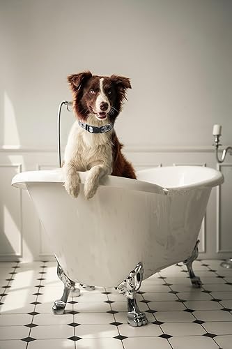 Miniatura 2 de Collar de perro de Halloween para perros grandes, paquete de 2, collar de perro para vacaciones