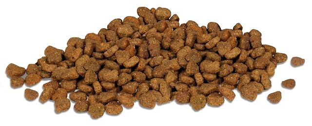 Foto 4 de 6 de Alimento seco Completo para Gatos CiCi - para Gatos Adultos y castrados, con Pescado - 2 kg