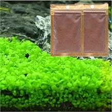 2 Pack Aquarium Plants for Fish Tank, Easy Growing, Real Carpet Decor for Fish Tank/Terrarium