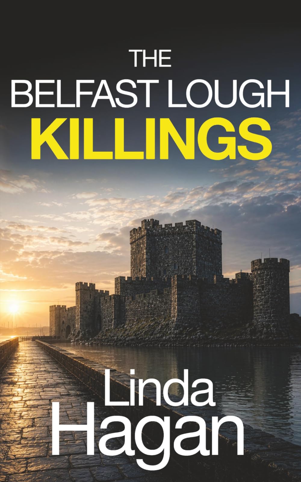 THE BELFAST LOUGH KILLINGS an utterly gripping crime mystery with a shocking twist (The DCI Gawn Girvin series)