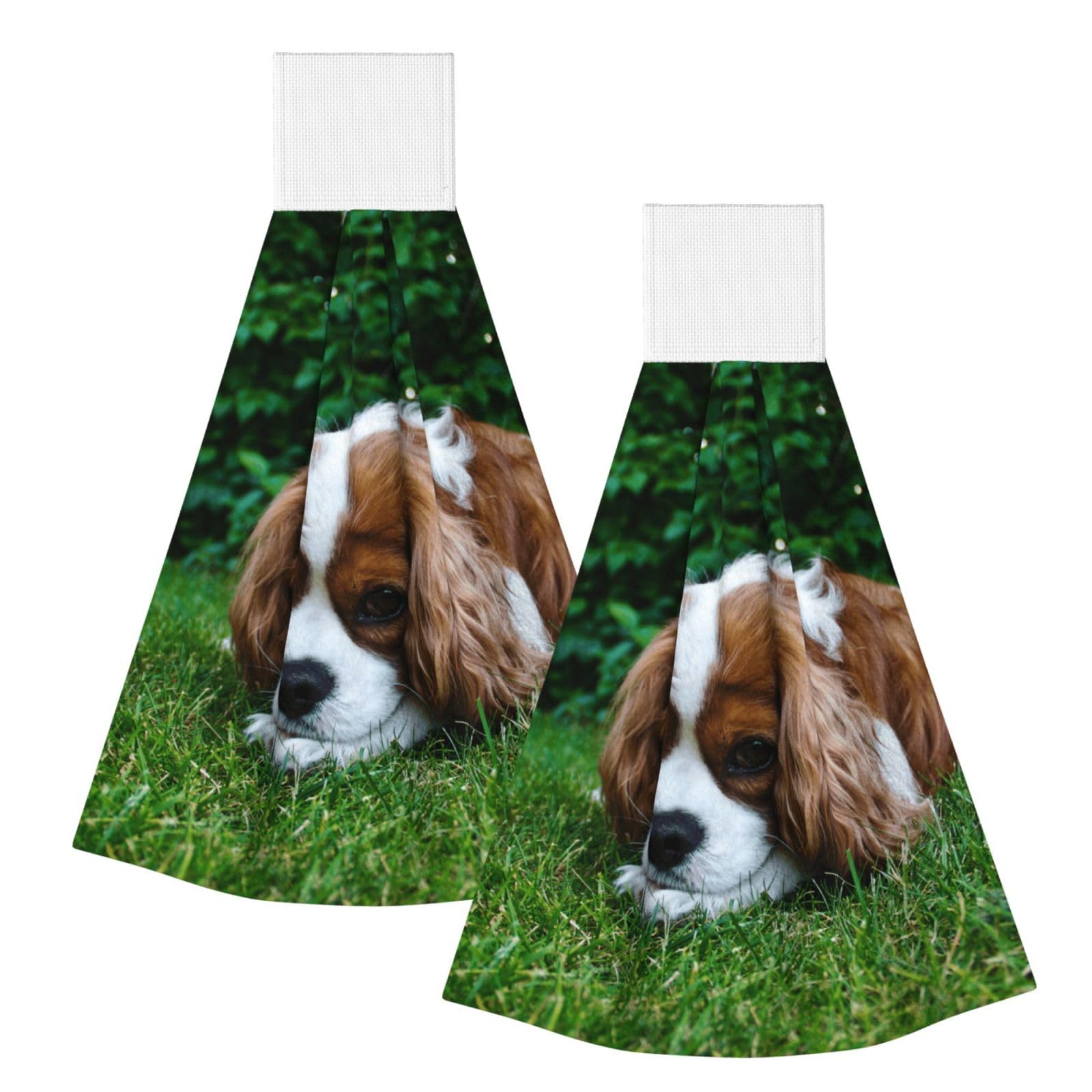 DOPKLNA Cavalier King Charles Spaniel Brownish White, 2 Pcs Hanging Coral Fiber Hand Towels for Bathroom, Absorbent Kitchen Towels