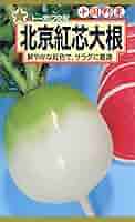 大根 Amazon | 株式会社トーホク 北京紅芯大根 07146 | 野菜
