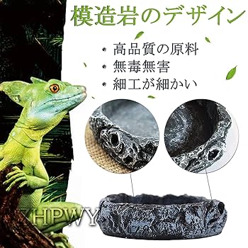 両生類飼育セット Amazon | 爬虫類 ケージ レオパ ケージ 100x50x50cm 木製飼育