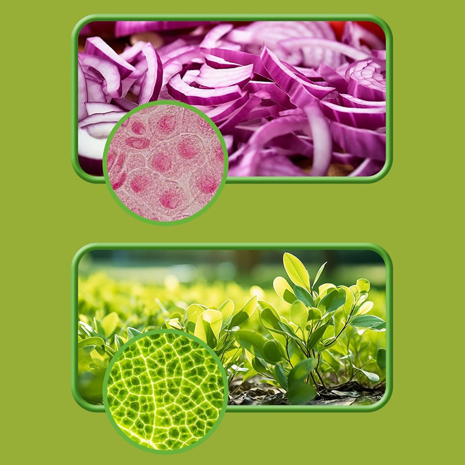 Genérico Portable Microscope for Children | 60-120X Scientific Game, with LED Light Children's Microscope – for Boys Girls Teens Classroom Study Garden School Activities