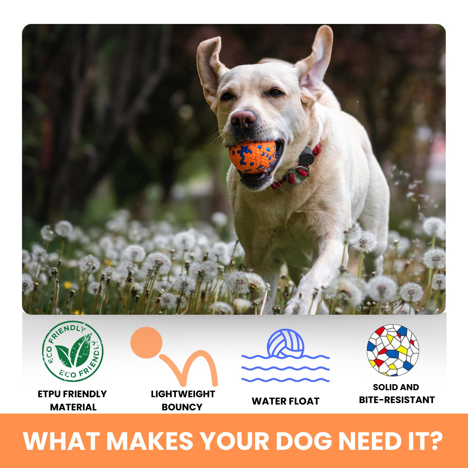 Karpic Popaws Tough Dog Toys for Aggressive Chewers & Teething Puppies, Bouncy Balls for Medium Dogs, Durable Pet Toys, Floating Dog Balls for Water Play (Orange-Blue)