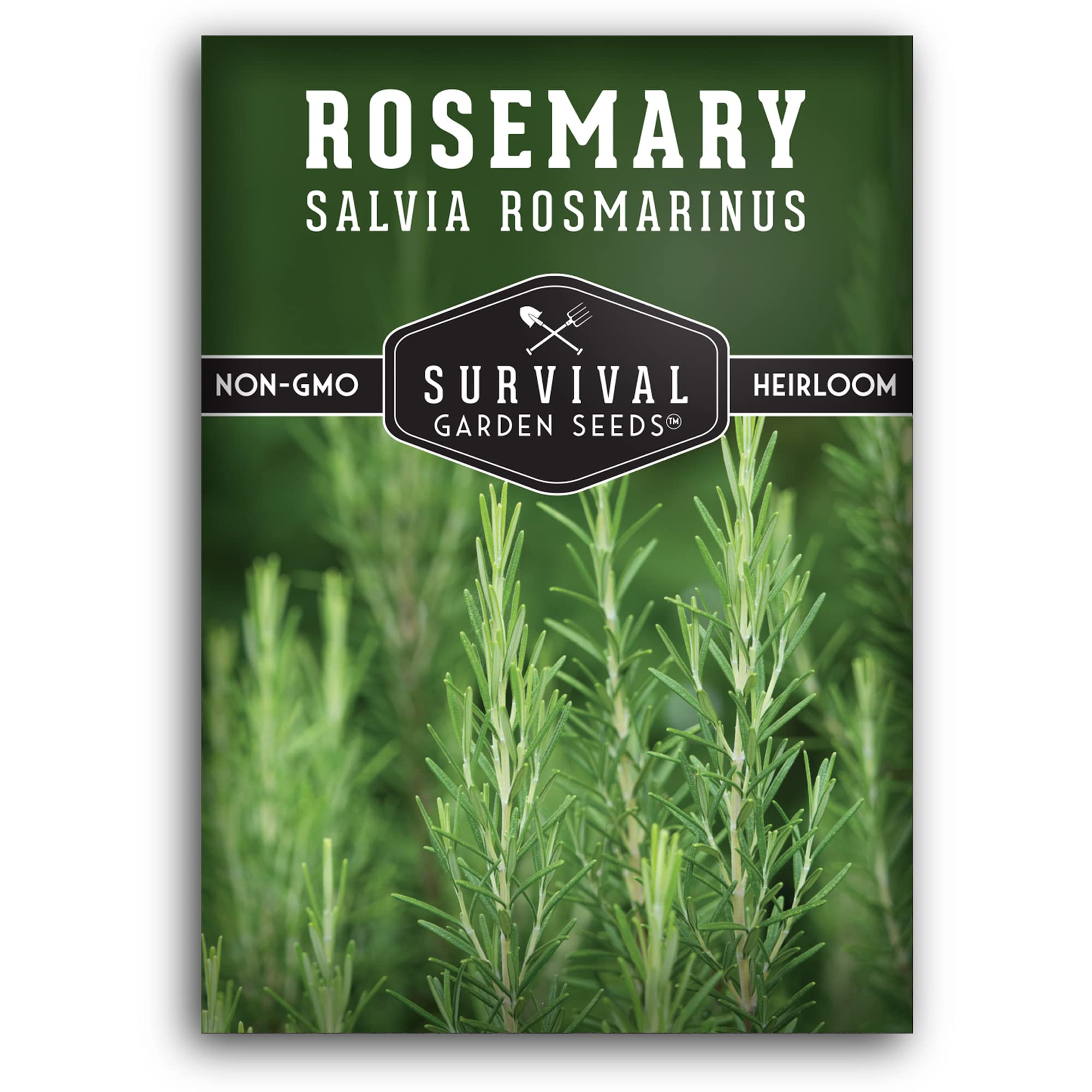 1 Pack Rosemary Herb Seeds for Planting - Salvia Rosmarinus with Instructions to Grow in Your Home Vegetable Garden - Non-GMO Heirloom Rosemary Plant Seeds for Herb Garden - Survival Garden Seeds