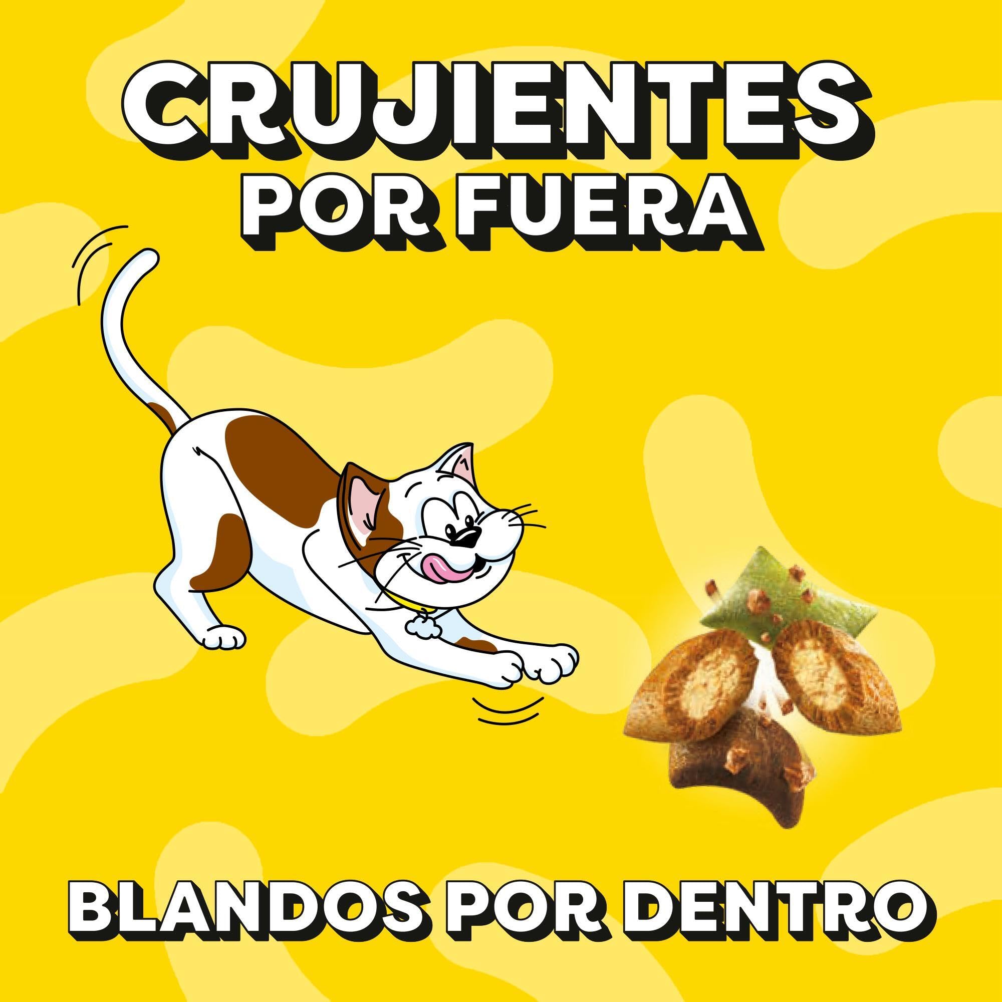Catisfactions Premios para Gatos Sabor Aves a la Brasa 6x55g