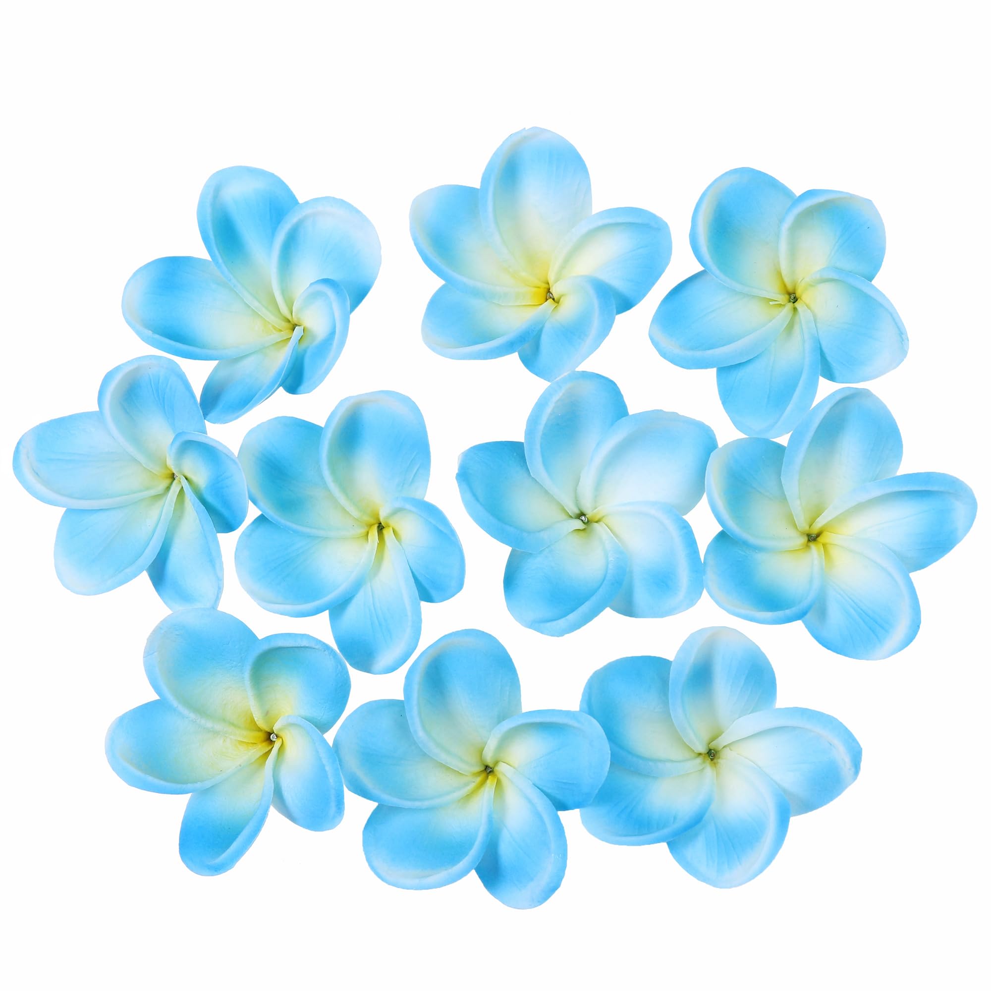 ♡プルメリア♡ Amazon.co.jp: Xilyya 10本入り 天然 リアルタッチ 人工 シルク不使用