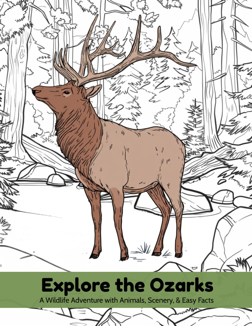 Explore the Ozarks: A Wildlife Adventure with Animals, Scenery, & Easy Facts for Kids