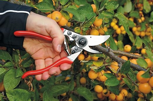  Felco F 9 Pruning Shears