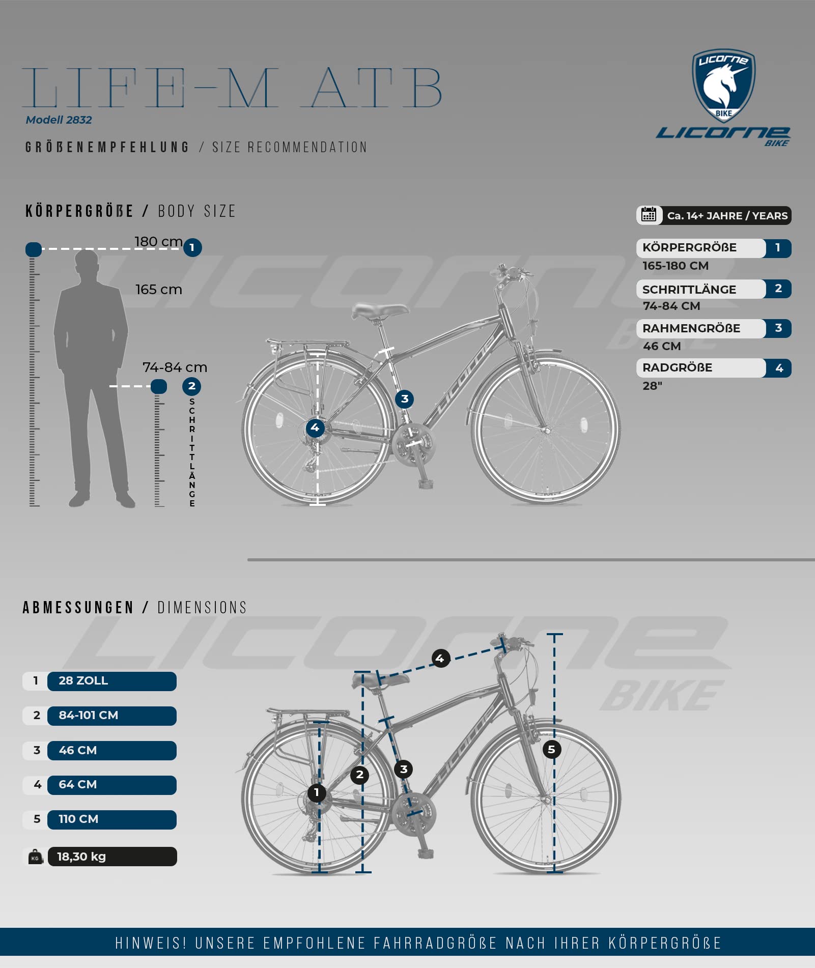 Licorne Bike Life M-V Vélo de randonnée, de qualité supérieure, 28 ’’, pour garçons, filles, femmes et hommes, avec dérailleur Shimano à 21 vitesses