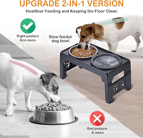 Miniatura 4 de LALOBLUE Cuencos elevados para perros, cuencos elevados de alimentación lenta para perros con tazón de agua antiderrames, el soporte para cuenco