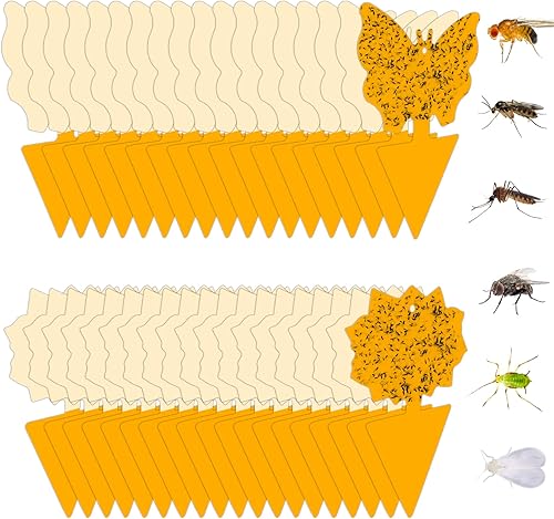 Miniatura 1 de 12trampas adhesivas de interiores para moscas de la fruta y mosquitos, trampas para mosquitos del hongo e insectos, para plantas domésticas