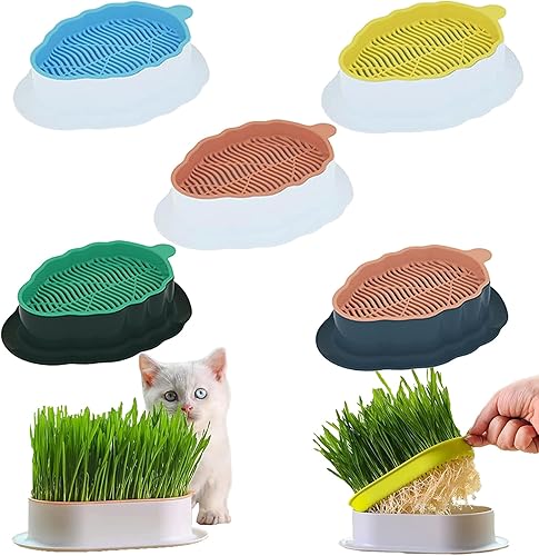 Miniatura 1 de Maceta de césped para gatos, kit de maceta hidropónica para gatos, fácil de plantar sin suelo, kit de cultivo de hierba para gatos, hierba para