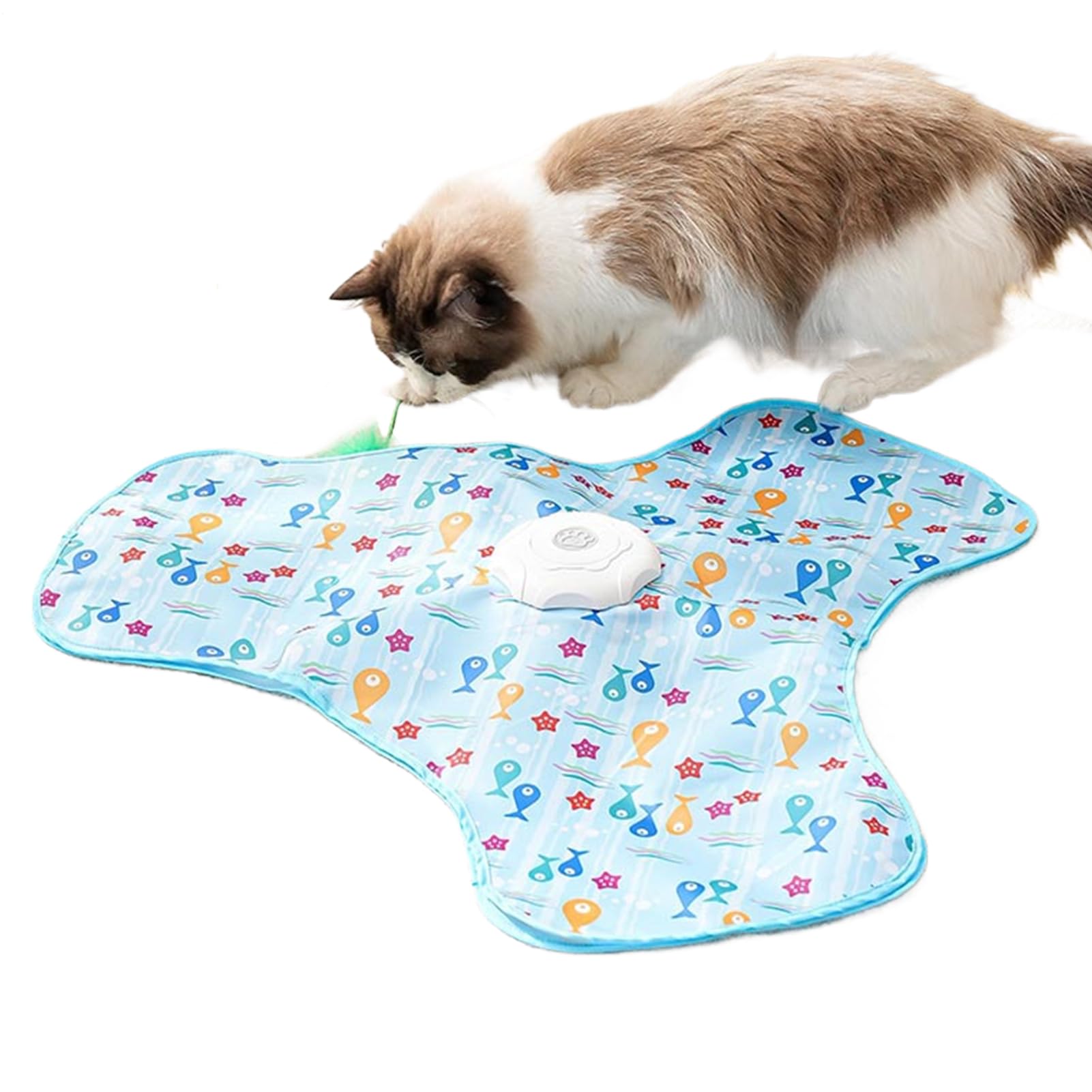 Jeu mobile cache-cache pour chat pour stimuler l'exercice en intérieur quand vous travaillez