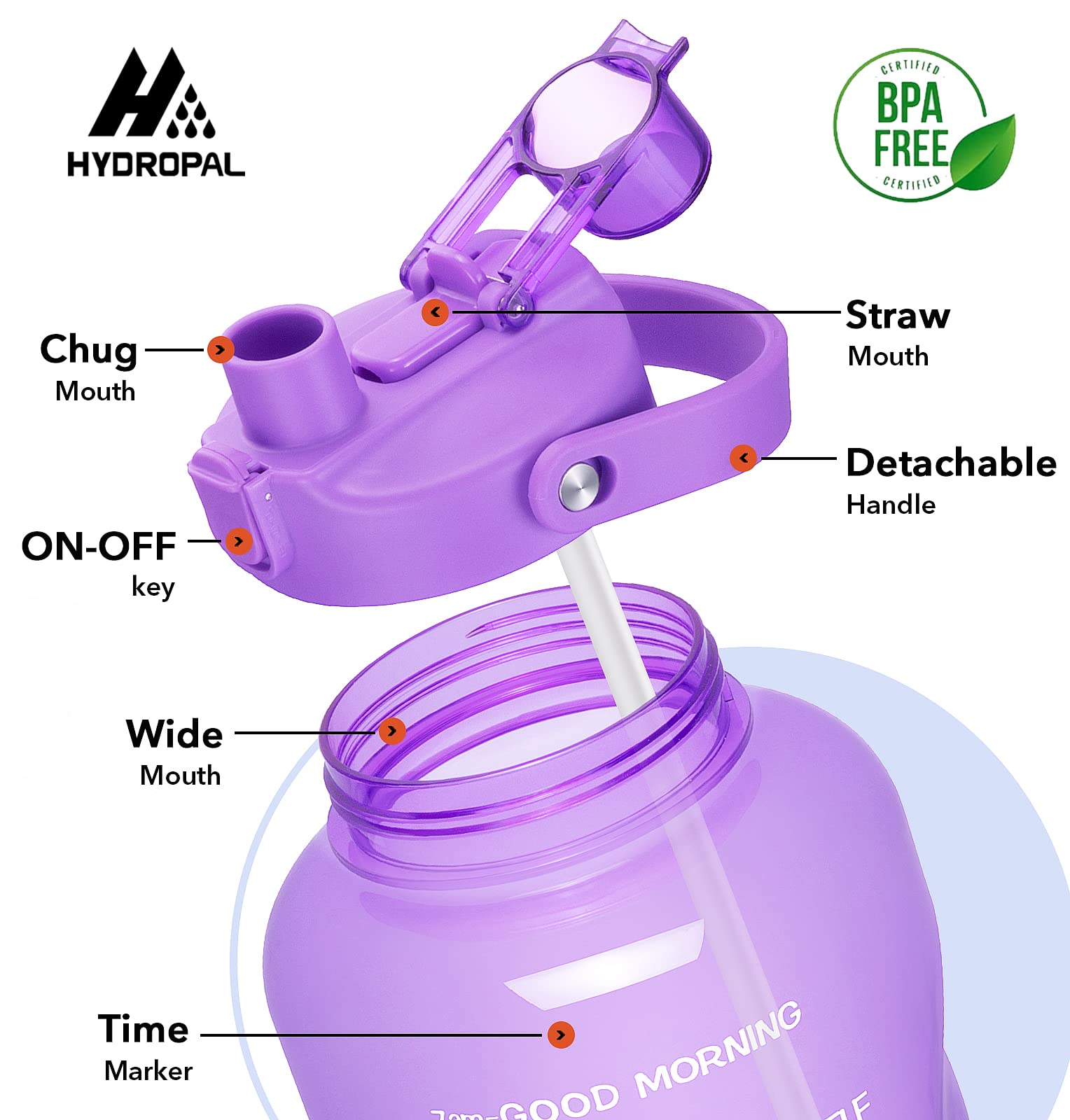 HydroPal Wasserflaschen mit Strohhalm, 3.6 l Wasserflasche Wasserkrug BPA-frei, auslaufsichere Sportflasche mit Zeiten zum Trinken, perfekt für Fitness, Camping, Outdoor (3.6 l Amethyst) | Innovativer 2-in-1-Deckel mit Trinkzeiten, motivierend, groß, für