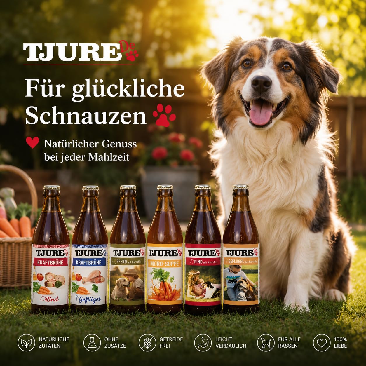 TJURE Hunde Smoothie All in One Paket | Huhn | Rind | Lamm | Moro | Geflügel | Pferd | 6 x 320ml | Als Topping & Snack für Hunde | Zutaten in Lebensmittelqualität | Getreidefrei | Made in Germany