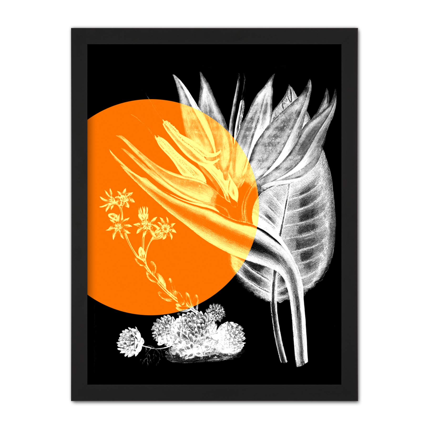 Wee Blue Coo Colour Pop Circle Plant Artwork Framed Wall Art Print 18X24 Inch