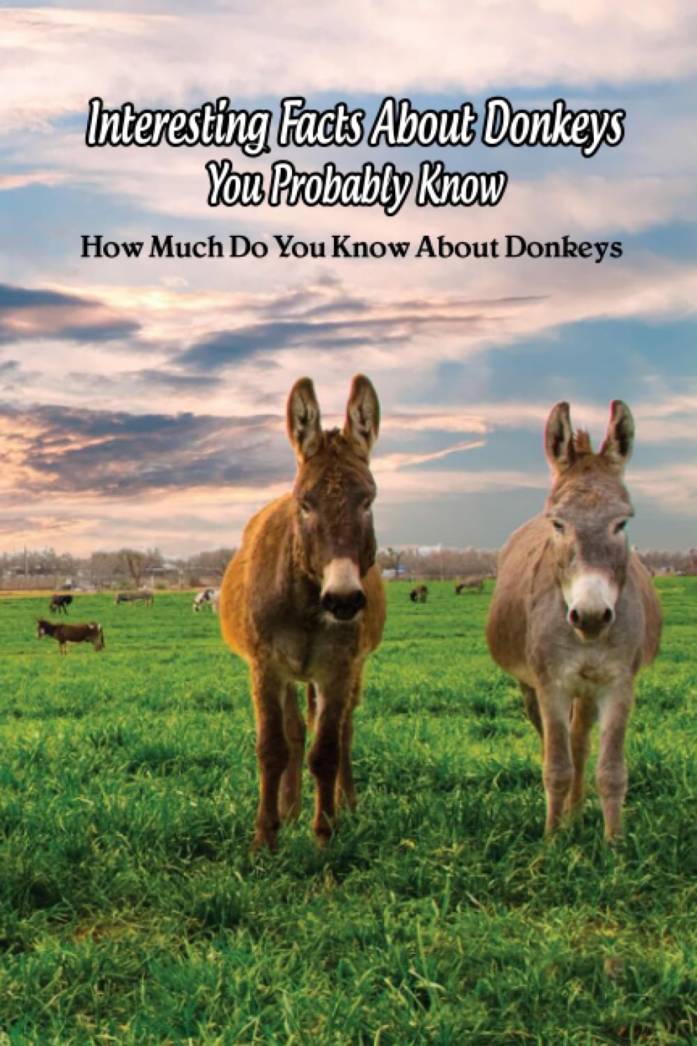 Interesting Facts About Donkeys You Probably Know: How Much Do You Know About Donkeys: Donkey Books